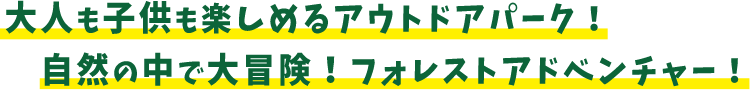 大人も子供も楽しめるアウトドアパーク！自然の中で大冒険！フォレストアドベンチャー！