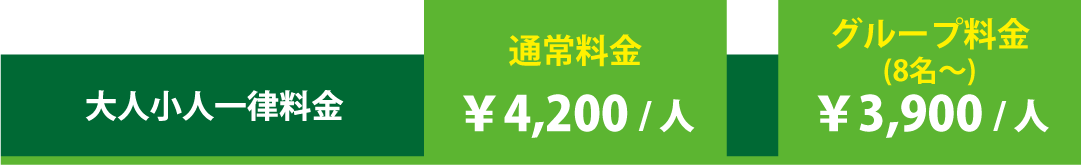 フォレストアドベンチャー丹波ささやま・利用料金